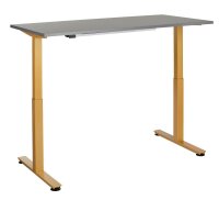 HAMMERBACHER XMST16 elektrisch höhenverstellbarer Schreibtisch grafit rechteckig, T-Fuß-Gestell gold 160,0 x 80,0 cm