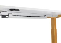 HAMMERBACHER XMST16 elektrisch höhenverstellbarer Schreibtisch grafit rechteckig, T-Fuß-Gestell gold 160,0 x 80,0 cm