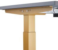 HAMMERBACHER XMST16 elektrisch höhenverstellbarer Schreibtisch grafit rechteckig, T-Fuß-Gestell gold 160,0 x 80,0 cm