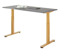 HAMMERBACHER XMST16 elektrisch höhenverstellbarer Schreibtisch grafit rechteckig, T-Fuß-Gestell gold 160,0 x 80,0 cm