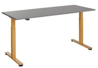 HAMMERBACHER XMST19 elektrisch höhenverstellbarer Schreibtisch grafit rechteckig, T-Fuß-Gestell gold 180,0 x 80,0 cm