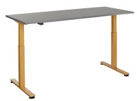 HAMMERBACHER XMST19 elektrisch höhenverstellbarer Schreibtisch grafit rechteckig, T-Fuß-Gestell gold 180,0 x 80,0 cm