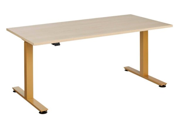 HAMMERBACHER XMST16 elektrisch höhenverstellbarer Schreibtisch eiche rechteckig, T-Fuß-Gestell gold 160,0 x 80,0 cm