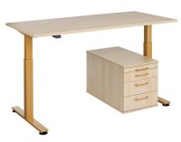 HAMMERBACHER XMST16 elektrisch höhenverstellbarer Schreibtisch eiche rechteckig, T-Fuß-Gestell gold 160,0 x 80,0 cm