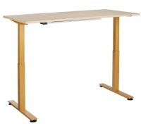 HAMMERBACHER XMST16 elektrisch höhenverstellbarer Schreibtisch eiche rechteckig, T-Fuß-Gestell gold 160,0 x 80,0 cm