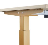 HAMMERBACHER XMST16 elektrisch höhenverstellbarer Schreibtisch eiche rechteckig, T-Fuß-Gestell gold 160,0 x 80,0 cm