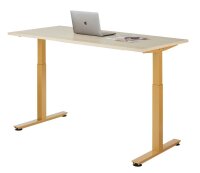 HAMMERBACHER XMST16 elektrisch höhenverstellbarer Schreibtisch eiche rechteckig, T-Fuß-Gestell gold 160,0 x 80,0 cm