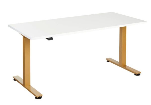 HAMMERBACHER XMST16 elektrisch höhenverstellbarer Schreibtisch weiß rechteckig, T-Fuß-Gestell gold 160,0 x 80,0 cm
