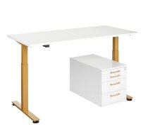 HAMMERBACHER XMST16 elektrisch höhenverstellbarer Schreibtisch weiß rechteckig, T-Fuß-Gestell gold 160,0 x 80,0 cm
