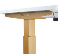 HAMMERBACHER XMST16 elektrisch höhenverstellbarer Schreibtisch weiß rechteckig, T-Fuß-Gestell gold 160,0 x 80,0 cm
