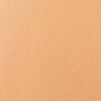 cricut™ Joy Xtra Smart Label Papier für Schneideplotter braun 24,1 x 30,5 cm,  4 St.