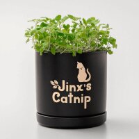 cricut™ Joy Xtra Smart Vinyl Classics Vinylfolie wiederablösbar farbsortiert 24,1 x 30,5 cm,  3 St.