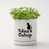 cricut™ Joy Xtra Smart Vinyl Elegance Vinylfolie wiederablösbar farbsortiert 24,1 x 30,5 cm,  3 St.
