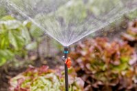 GARDENA Regulierventil Micro-Drip-System, 5 St.