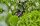GARDENA Rohrhalter Micro-Drip-System, 15 St.