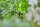 GARDENA Rohrhalter Micro-Drip-System, 15 St.