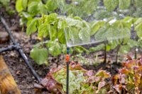 GARDENA Absperrventil Micro-Drip-System, 2 St.