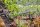 GARDENA Absperrventil Micro-Drip-System, 2 St.