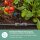 GARDENA Reihentropfer für Tropfschlauch Micro-Drip-System