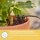 GARDENA Endtropfer für Tropfschlauch Micro-Drip-System, 10 St.