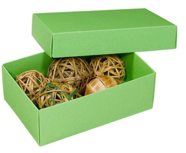 BUNTBOX M Geschenkboxen 1,1 l grün 17,0 x 11,0 x 6,0 cm, 3 St.
