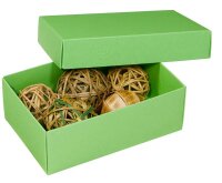 BUNTBOX M Geschenkboxen 1,1 l grün 17,0 x 11,0 x 6,0...
