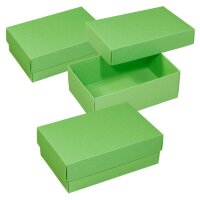 BUNTBOX M Geschenkboxen 1,1 l grün 17,0 x 11,0 x 6,0...
