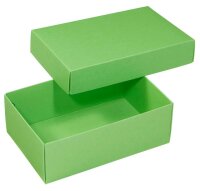 BUNTBOX M Geschenkboxen 1,1 l grün 17,0 x 11,0 x 6,0 cm, 3 St.
