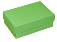 BUNTBOX M Geschenkboxen 1,1 l grün 17,0 x 11,0 x 6,0 cm, 3 St.