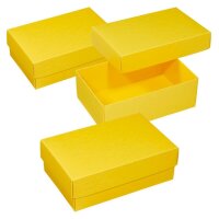 BUNTBOX M Geschenkboxen 1,1 l gelb 17,0 x 11,0 x 6,0 cm,...