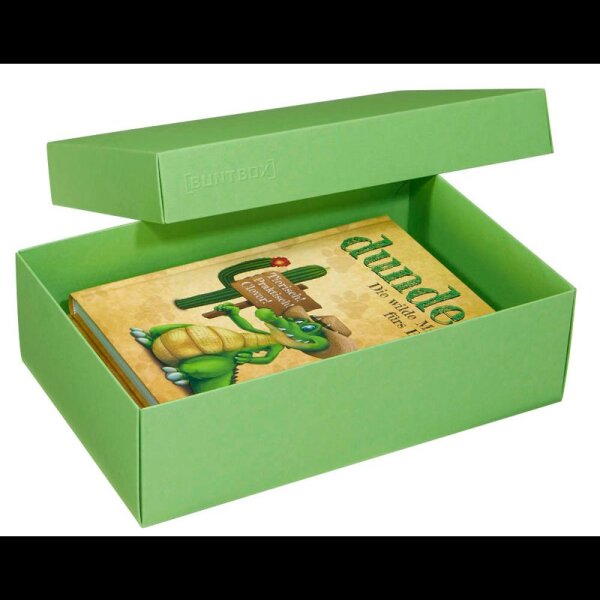 BUNTBOX L Geschenkboxen 3,6 l grün 26,6 x 17,2 x 7,8 cm, 2 St.