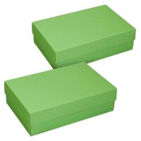 BUNTBOX L Geschenkboxen 3,6 l grün 26,6 x 17,2 x 7,8...