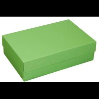 BUNTBOX L Geschenkboxen 3,6 l grün 26,6 x 17,2 x 7,8 cm, 2 St.