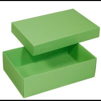BUNTBOX L Geschenkboxen 3,6 l grün 26,6 x 17,2 x 7,8 cm, 2 St.