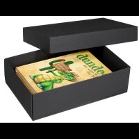 2 BUNTBOX L Geschenkboxen 3,6 l schwarz 26,6 x 17,2 x 7,8...