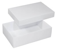 2 BUNTBOX L Geschenkboxen 3,6 l weiß 26,6 x 17,2 x 7,8 cm  ( 71-6 )