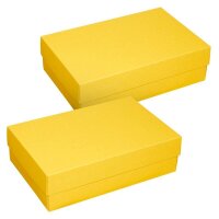 BUNTBOX L Geschenkboxen 3,6 l gelb 26,6 x 17,2 x 7,8 cm,...