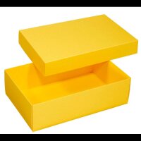 BUNTBOX L Geschenkboxen 3,6 l gelb 26,6 x 17,2 x 7,8 cm, 2 St.