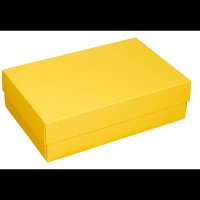 BUNTBOX L Geschenkboxen 3,6 l gelb 26,6 x 17,2 x 7,8 cm, 2 St.