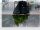 LEITZ Prospekthüllen recycle 4019 DIN A3 quer transparent genarbt 0,10 mm, 25 St.