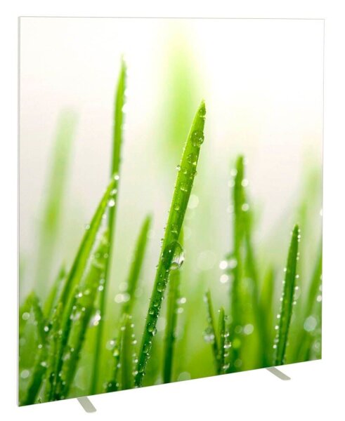 PAPERFLOW Trennwand easyScreen ES160014, Gräser bunt 160,0 x 173,2 cm, 1 St.
