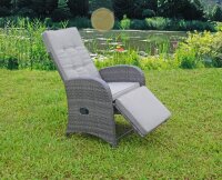 Garden Pleasure Gartenstühle mit Armlehnen SALERNO grau, Metall, 2 St.