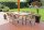 Garden Pleasure Sitzgruppe FLORENCE, silber Kunststoff, Metall, 9-teilig  ( 305267-8 )