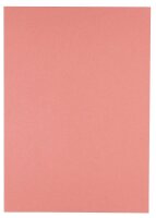 Clairefontaine Recyclingpapier Evercolor rosa DIN A4 80 g/qm 500 Blatt