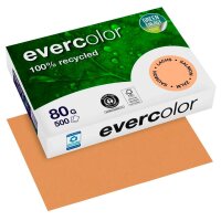 Clairefontaine Recyclingpapier Evercolor lachs DIN A4 80...