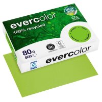 Clairefontaine Recyclingpapier Evercolor lindgrün...
