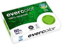 Clairefontaine Recyclingpapier Evercolor lindgrün...