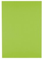 Clairefontaine Recyclingpapier Evercolor lindgrün DIN A4 80 g/qm 500 Blatt