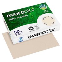 Clairefontaine Recyclingpapier Evercolor chamois DIN A4...