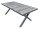 Garden Pleasure Gartentisch RANA grau rechteckig 100,0 x 202,0 x 75,0 cm